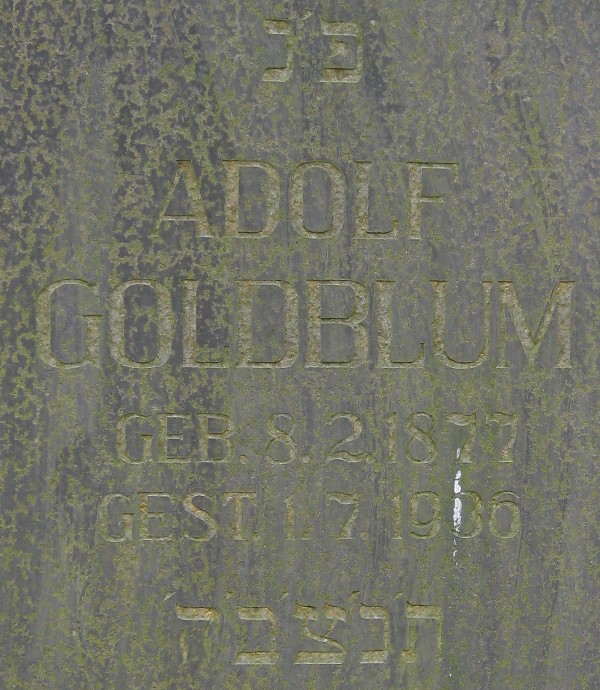 Adolf Goldblum
