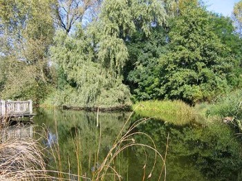 Bild: Im Landschaftspark Nordstern