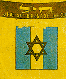 Ärmelabzeichen der jüdischen Brigade