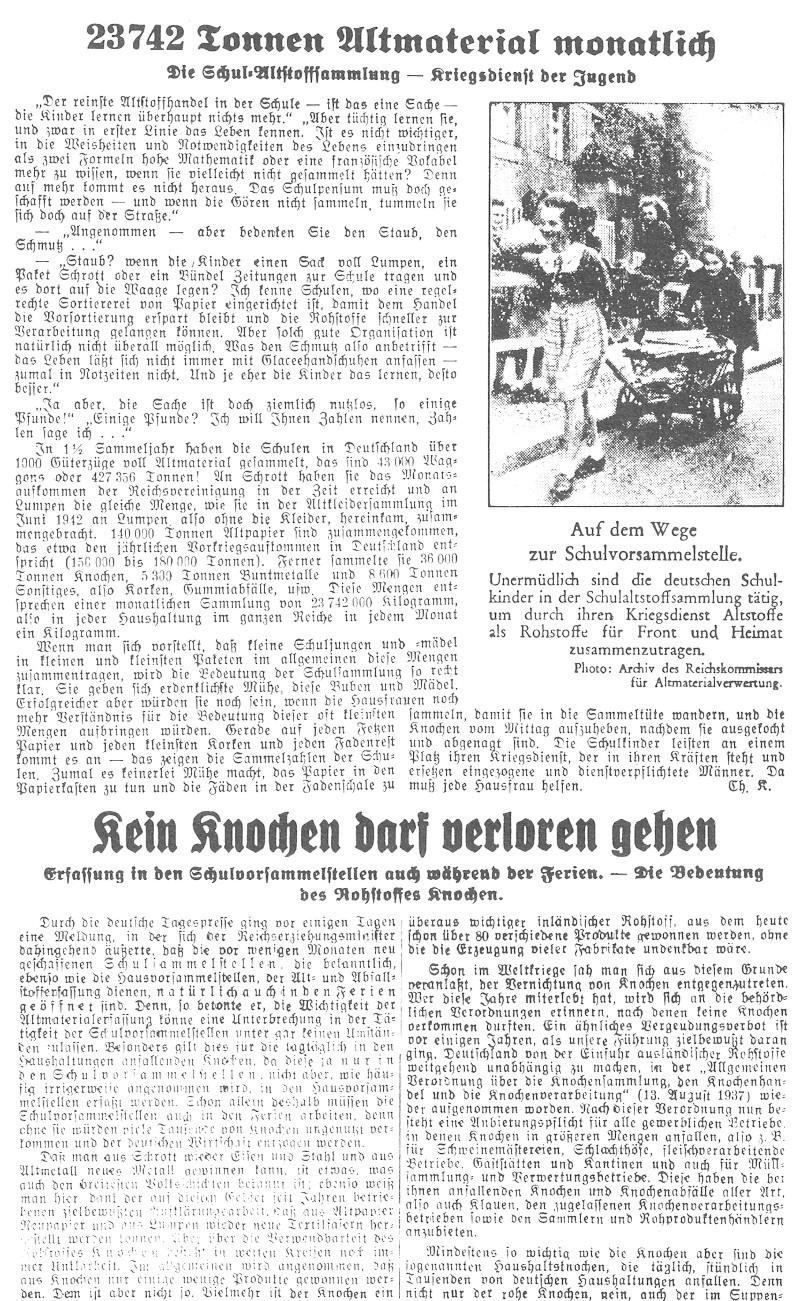 Kein Knochen darf verloren gehen